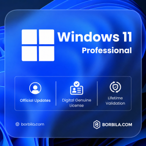 Windows 11 Professional Digital License